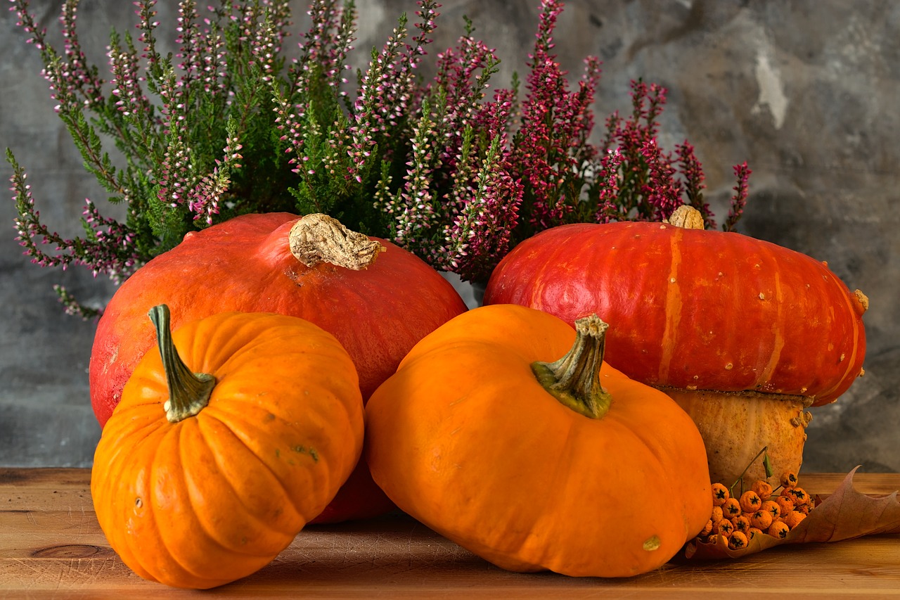 10 Fun Projects for Celebrating Halloween